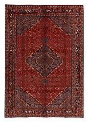 Persian rug Hamedan 289 x 199 cm
